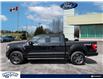 2021 Ford F-150 Lariat (Stk: LP2095X) in Waterloo - Image 3 of 25