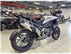 2024 Triumph TIGER1200 GT PRO (Stk: 24TS-031) in Grande Prairie - Image 4 of 9