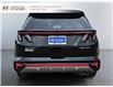 2024 Hyundai Tucson Hybrid N-Line (Stk: 242351N) in Grand Falls - Image 3 of 18