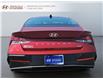 2024 Hyundai Elantra HEV Luxury (Stk: 242388N) in Grand Falls - Image 3 of 17
