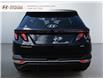 2024 Hyundai Tucson Preferred (Stk: 242903N) in Grand Falls - Image 3 of 18