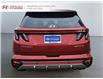 2024 Hyundai Tucson Hybrid N-Line (Stk: 242352N) in Grand Falls - Image 3 of 19