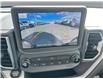 2024 Ford Bronco Sport Outer Banks (Stk: R9163) in ROSETOWN - Image 17 of 17