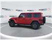 2024 Jeep Wrangler Sahara (Stk: 240236) in Windsor - Image 6 of 24