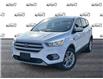 2019 Ford Escape SE (Stk: 40828) in St. Catharines - Image 1 of 20