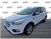 2019 Ford Escape SE (Stk: 40828) in St. Catharines - Image 3 of 20