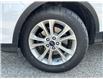 2019 Ford Escape SE (Stk: 40828) in St. Catharines - Image 6 of 20