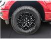 2024 Ford F-150 XLT (Stk: 11615) in Golden - Image 16 of 17