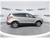 2015 Ford Escape SE (Stk: 240450A) in Windsor - Image 9 of 18