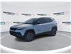 2025 Jeep Compass Trailhawk (Stk: 250027) in Windsor - Image 4 of 25