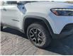 2025 Jeep Compass Trailhawk (Stk: 250027) in Windsor - Image 10 of 25