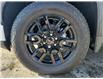 2025 GMC Sierra 1500 Elevation (Stk: G114504) in Newmarket - Image 10 of 22