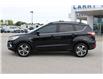 2017 Ford Escape SE (Stk: BR2416A) in Harrow - Image 8 of 13