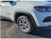 2025 Jeep Compass Sport (Stk: 250029) in Windsor - Image 10 of 23