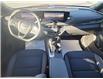 2025 Buick Envista Preferred (Stk: 22113) in Grand Falls-Windsor - Image 6 of 7