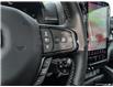 2025 RAM 1500 Limited (Stk: S613783) in Abbotsford - Image 15 of 25