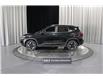 2024 Kia Seltos EX Premium (Stk: 25657) in Edmonton - Image 4 of 29