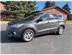 2019 Ford Escape SEL (Stk: 4B3096) in Cardston - Image 1 of 13