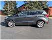 2019 Ford Escape SEL (Stk: 4B3096) in Cardston - Image 2 of 13