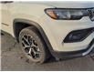 2025 Jeep Compass Limited (Stk: 250020) in Windsor - Image 10 of 24