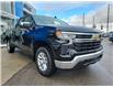2025 Chevrolet Silverado 1500 LT (Stk: Z141570) in Newmarket - Image 3 of 20