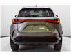 2025 Lexus NX 350 Base (Stk: 073257) in Brampton - Image 11 of 23