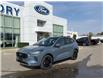 2025 Ford Escape ST-Line Elite (Stk: VFEP00261) in Chatham - Image 20 of 20