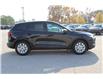 2025 Ford Escape Active (Stk: ES257) in Harrow - Image 4 of 20