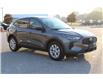 2025 Ford Escape Active (Stk: ES256) in Harrow - Image 3 of 20
