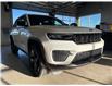 2024 Jeep Grand Cherokee Laredo (Stk: 24349) in Fort Macleod - Image 3 of 25