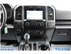 2019 Ford F-150  (Stk: ED2428C) in Harrow - Image 25 of 26