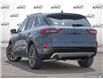 2025 Ford Escape PHEV (Stk: 250043) in Hamilton - Image 4 of 21