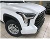 2025 Toyota Tundra SR5 (Stk: 250052) in Calgary - Image 18 of 22