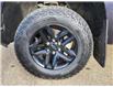 2022 Chevrolet Silverado 1500 LT Trail Boss (Stk: N240368A) in Stony Plain - Image 4 of 48