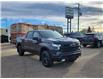 2022 Chevrolet Silverado 1500 LT Trail Boss (Stk: N240368A) in Stony Plain - Image 22 of 48