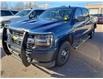 2017 Chevrolet Silverado 1500  (Stk: 24-259-1) in Pembroke - Image 1 of 9