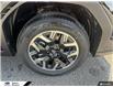2025 Subaru Forester Convenience (Stk: S5038) in Tecumseh - Image 6 of 25