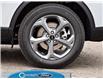 2025 Ford Escape ST-Line (Stk: A51483) in GEORGETOWN - Image 6 of 29