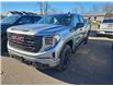 2025 GMC Sierra 1500 Pro (Stk: 2025065) in ARNPRIOR - Image 1 of 8