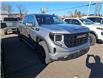 2025 GMC Sierra 1500 Pro (Stk: 2025065) in ARNPRIOR - Image 3 of 8