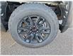 2025 GMC Sierra 1500 Pro (Stk: 2025065) in ARNPRIOR - Image 7 of 8