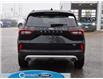 2025 Ford Escape PHEV (Stk: A51525) in GEORGETOWN - Image 8 of 26