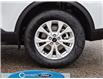2025 Ford Escape Active (Stk: A51520) in GEORGETOWN - Image 5 of 26