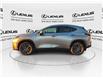 2025 Lexus NX 250 Base (Stk: 14108713) in Markham - Image 6 of 15