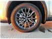 2025 Lexus NX 250 Base (Stk: 14108713) in Markham - Image 11 of 15