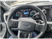 2024 Ford F-250 XLT (Stk: 240774) in Hamilton - Image 12 of 19