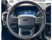 2024 Ford F-150 STX (Stk: FT243661) in Dawson Creek - Image 14 of 14