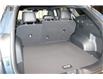 2025 Kia Sportage X-Line (Stk: 25667) in Edmonton - Image 21 of 24