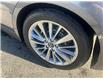 2023 Infiniti Q50 Luxe (Stk: P6769) in Brantford - Image 8 of 10