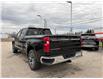 2025 Chevrolet Silverado 1500 LT (Stk: TS164034) in Caledonia - Image 3 of 26